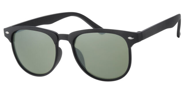 Zwarte wayfarer zonnebril - A40379